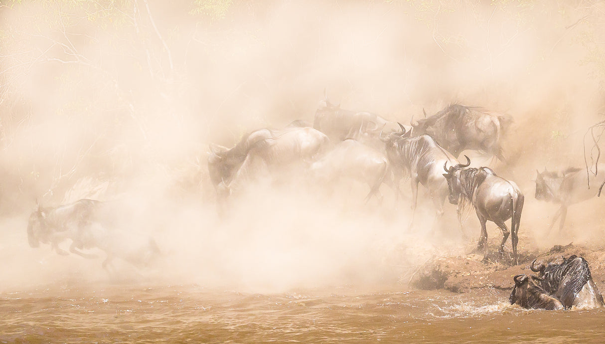 River Crossing Poster och Canvastavla