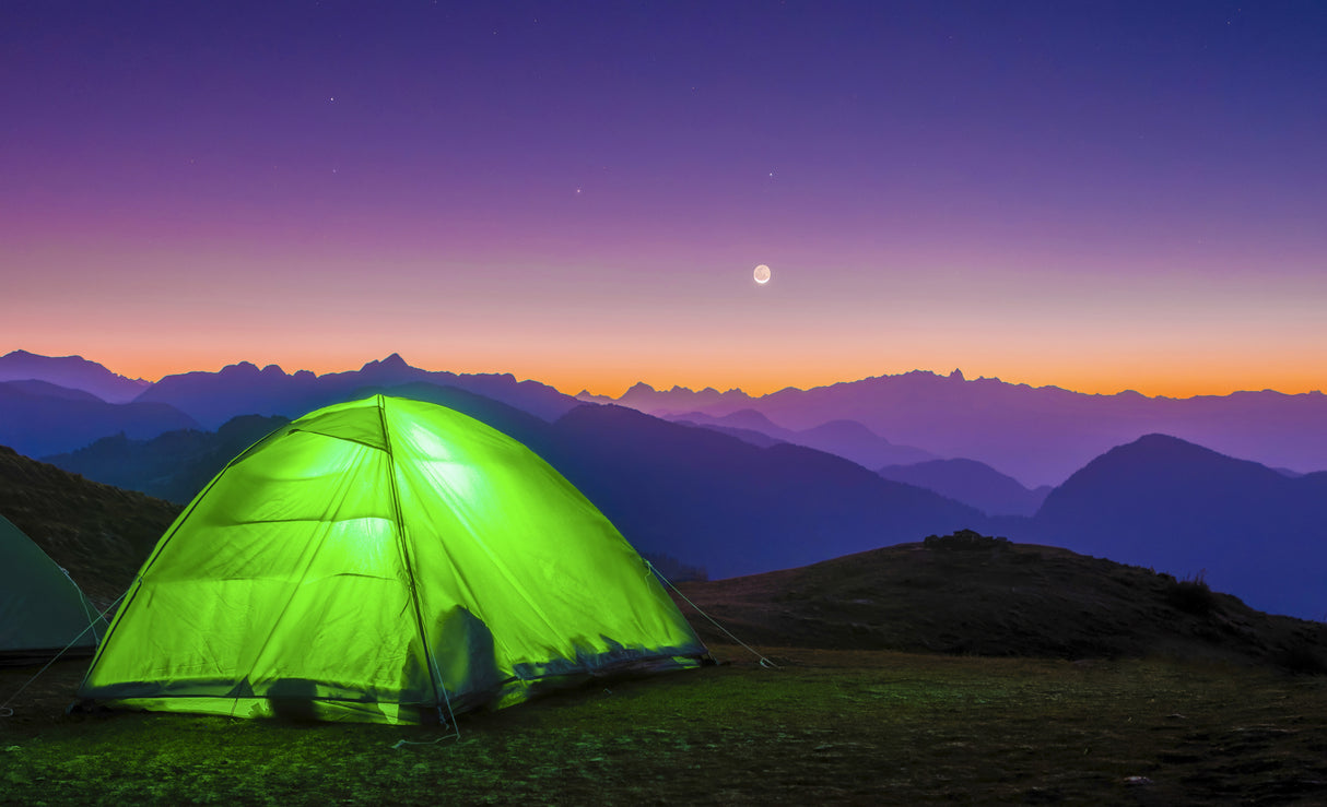 MOONLIGHT CAMPING Poster och Canvastavla