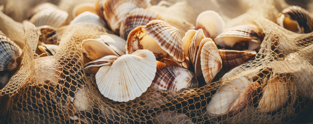 Beach Impressions No 31 Poster och Canvastavla