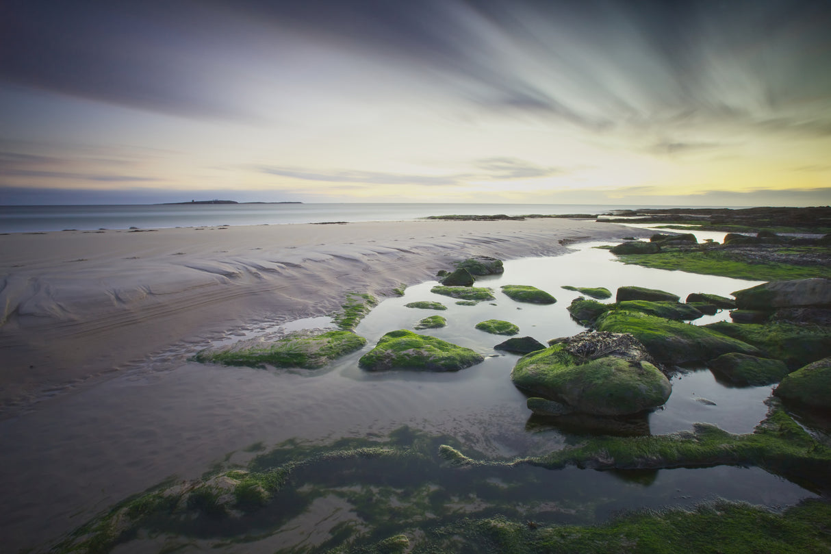 Dawn over Seahouses Beach Poster och Canvastavla