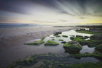 Dawn over Seahouses Beach Poster och Canvastavla