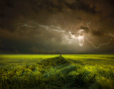 Electrically in Summer Poster och Canvastavla