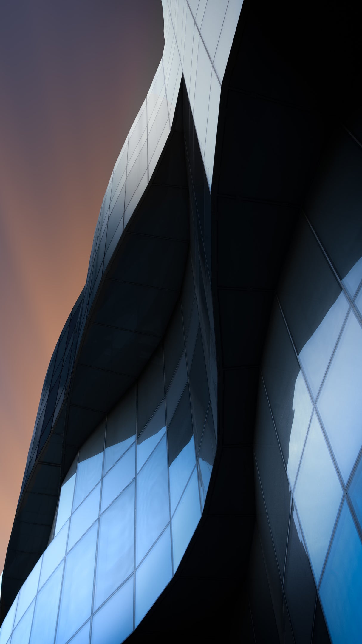 Blue curves Poster och Canvastavla