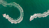 Sea snake Poster och Canvastavla