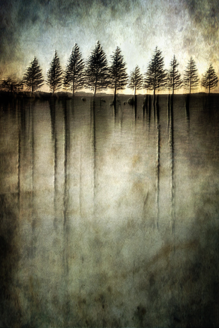 Dark water stands over me Poster och Canvastavla
