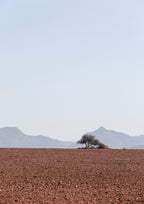 Swart Land No2 Poster och Canvastavla