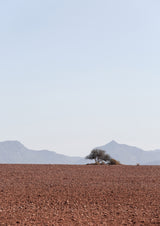 Swart Land No2 Poster och Canvastavla