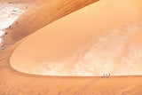 Lost souls in the sand dune Poster och Canvastavla
