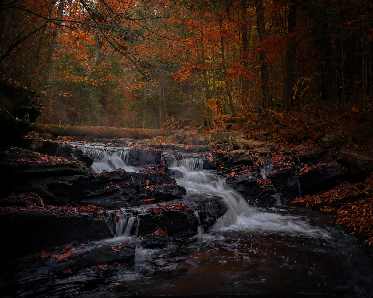 Falls in autumn Poster och Canvastavla