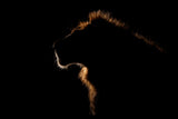 The King's Outline Poster och Canvastavla