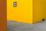 Yellow street dog Poster och Canvastavla