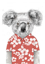 Summer koala (red) Poster och Canvastavla