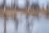 After the rain Poster och Canvastavla