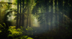 The jungle Poster och Canvastavla