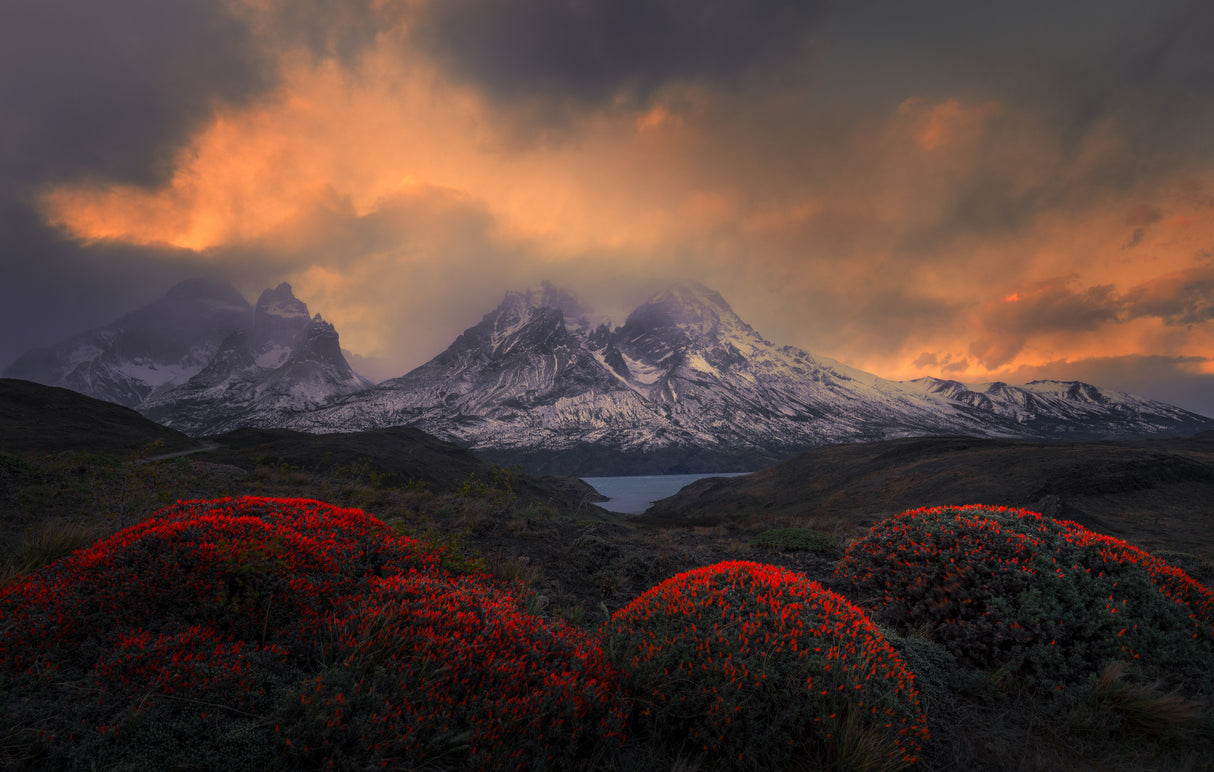 Fire Balls of Torres del Paine Poster och Canvastavla