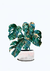 Monstera house plant Poster och Canvastavla