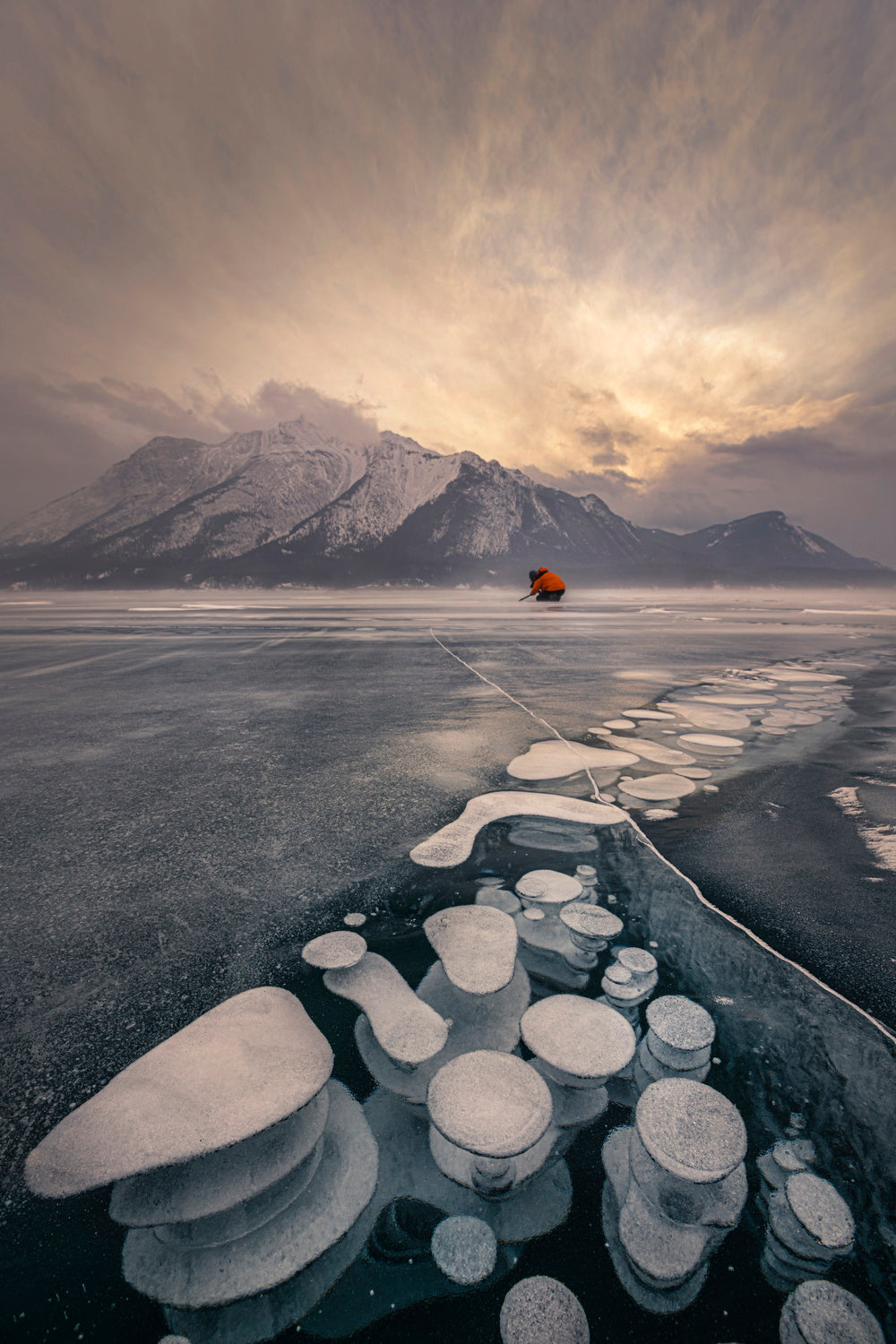 Can't Take Enough Shots of These Ice Bubbles Poster och Canvastavla