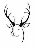 Reindeer head Poster och Canvastavla