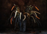Dry plants Poster och Canvastavla