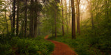 The Red Path. Poster och Canvastavla