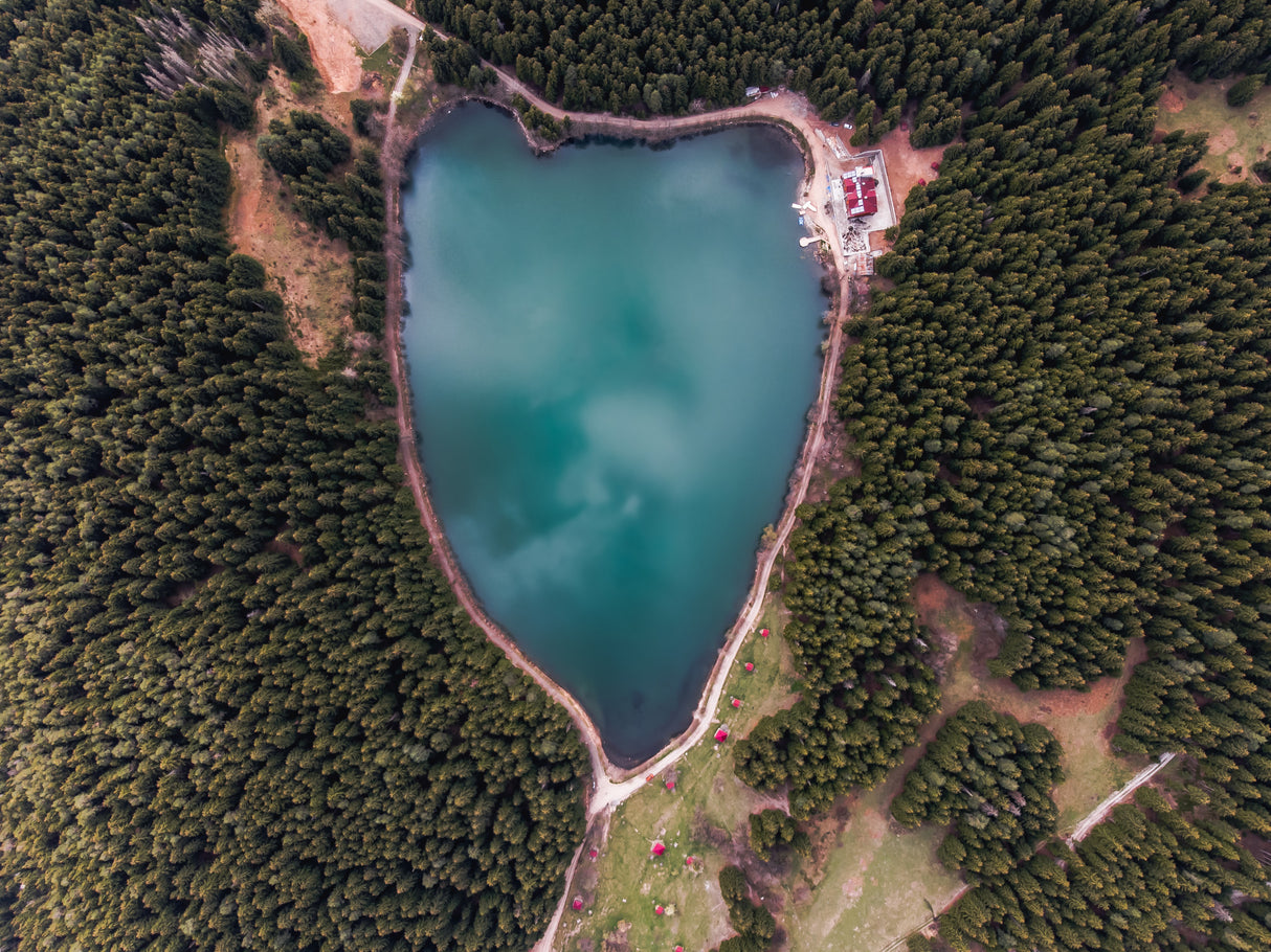 Just look 👀 and dream 💭 through karagöl/Artvin / Turkey Poster och Canvastavla