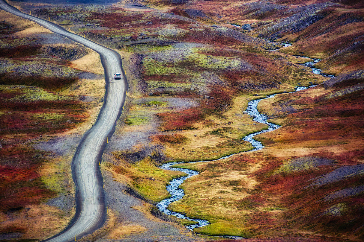 driving through carpet Poster och Canvastavla