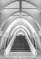 Calatrava lines Poster och Canvastavla