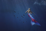 Mermaid Poster och Canvastavla