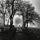 Dark morning Poster och Canvastavla