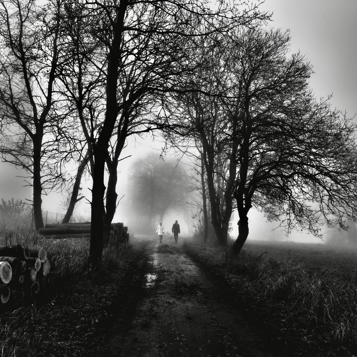 Dark morning Poster och Canvastavla