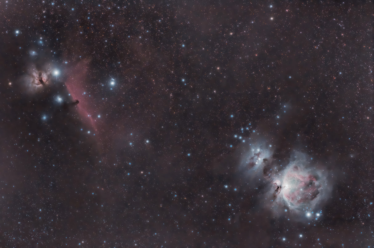 The Orion Region Poster och Canvastavla