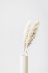 Pampas Grass Grey 10 Poster och Canvastavla