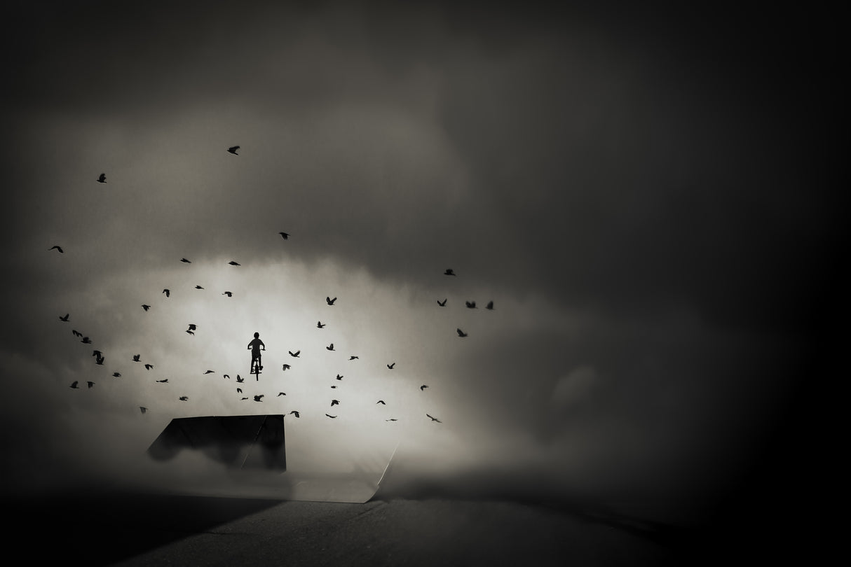 leap to freedom.... Poster och Canvastavla
