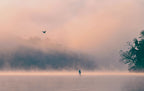 Morning Mist Poster och Canvastavla