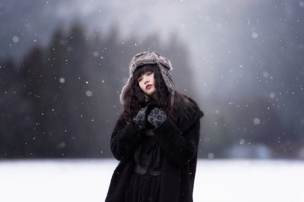 Winter Comes Again Poster och Canvastavla