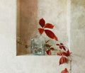 with a branch of wild grapes Poster och Canvastavla