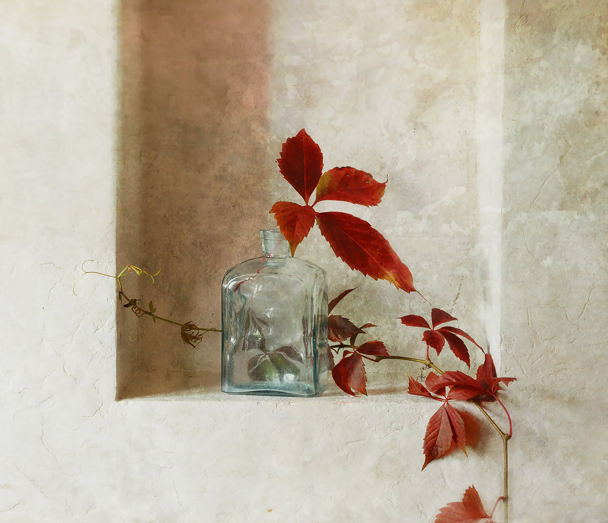 with a branch of wild grapes Poster och Canvastavla