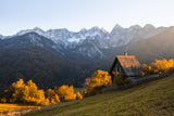 Autumn is at the door Poster och Canvastavla