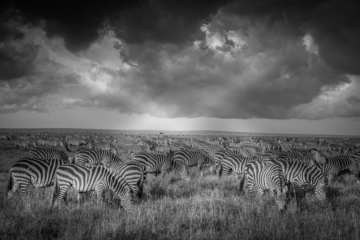 Where referees go to commiserate with each other Poster och Canvastavla