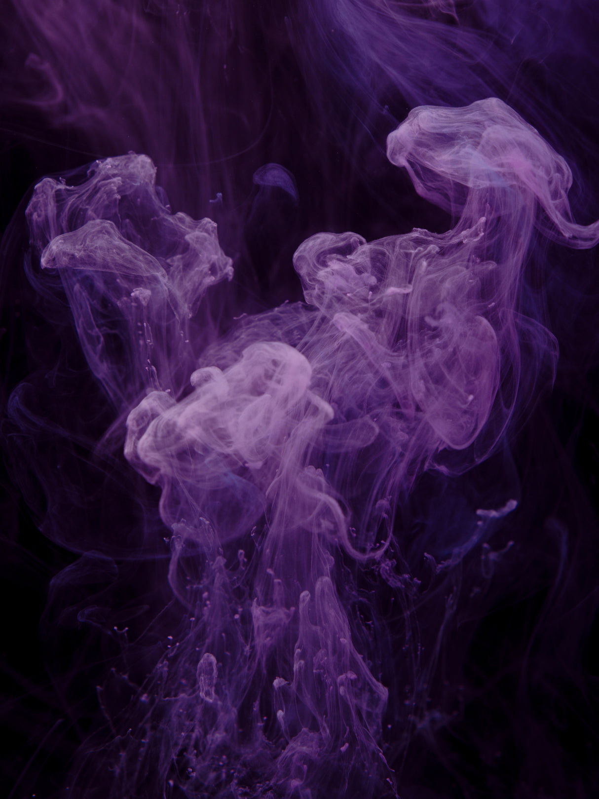 ink in water Poster och Canvastavla