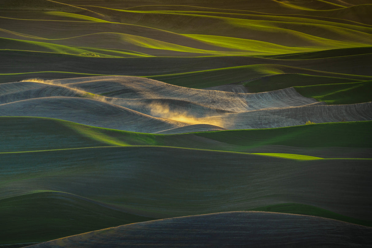 Galloping Wheat Field Poster och Canvastavla