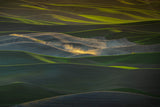 Galloping Wheat Field Poster och Canvastavla