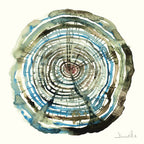 Water Oak Poster och Canvastavla