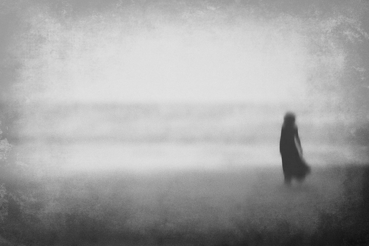 The longing Poster och Canvastavla