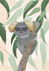 Cool Koala Poster och Canvastavla