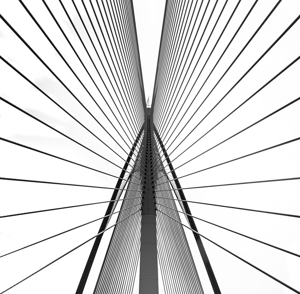 Siri Wawsan bridge Poster och Canvastavla