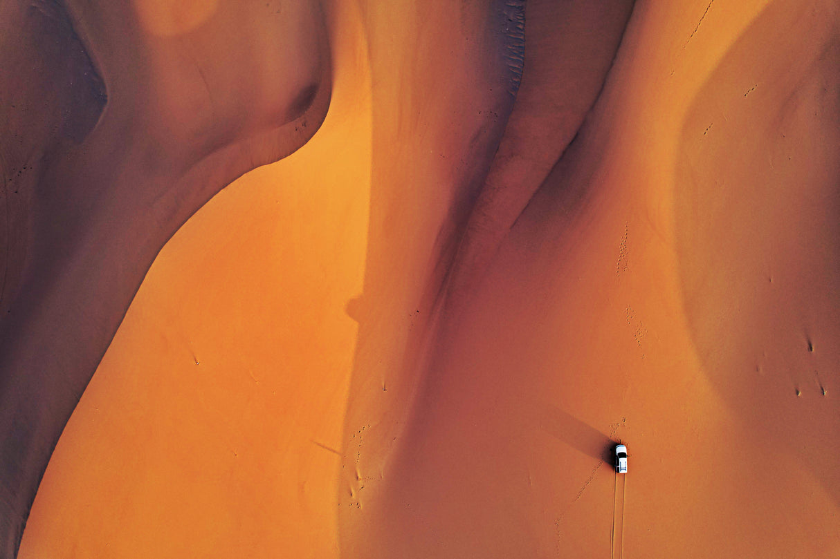 Desert Poster och Canvastavla