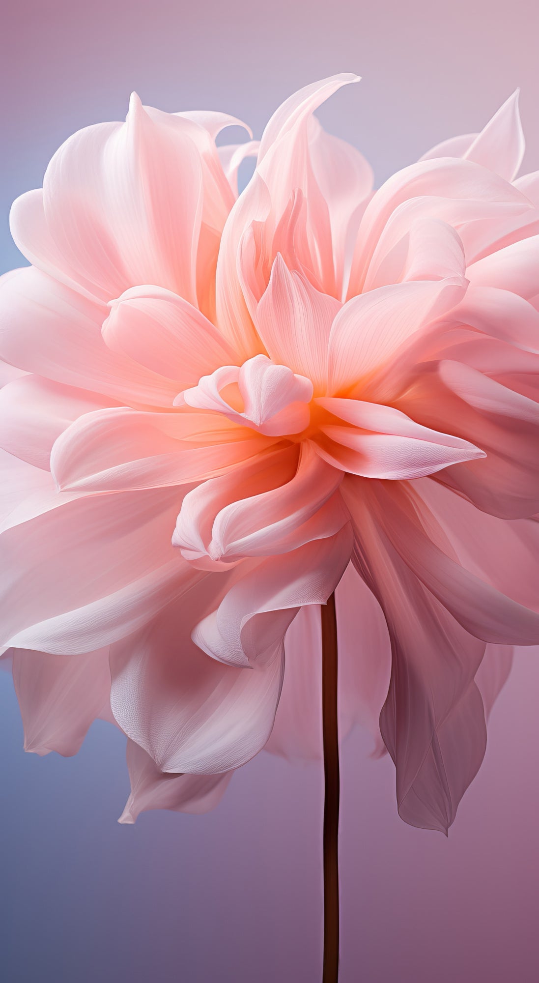 Delicate Flowers 7 Poster och Canvastavla