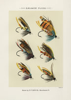 Salmon Fliee 1892 Poster och Canvastavla