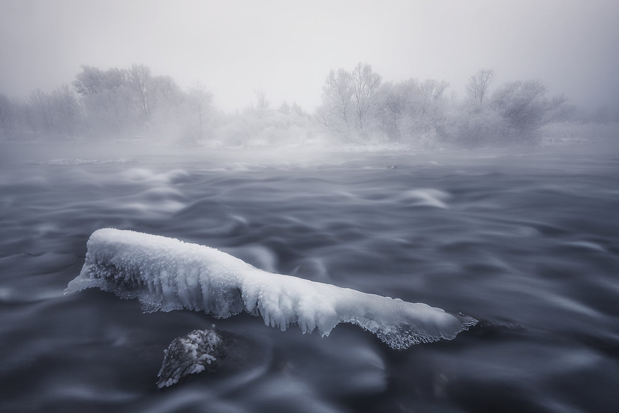 Frozen trunk Poster och Canvastavla